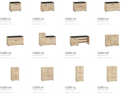 Caro03