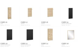 Caro04